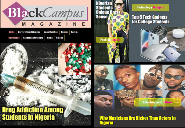 Portfolio of Web Design Work in Nigeria